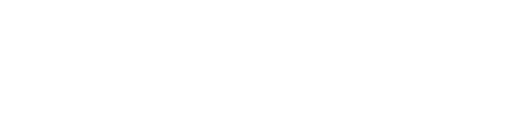Cirrus Aircraft white logo with stylized plane icon and wordmark